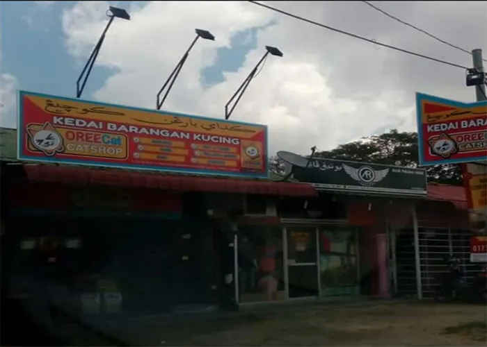OREECat KOTA BHARU
