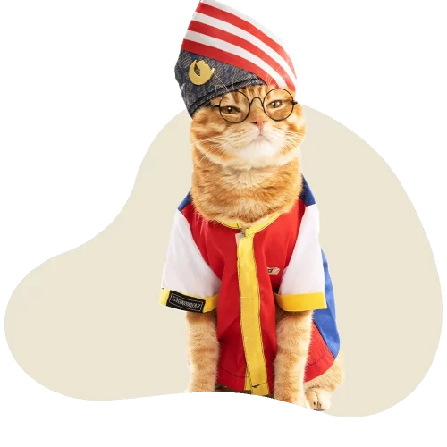Cat wearing Malaysia traditional cloth for endorsement Powercat cat food Malaysia.