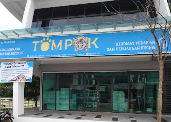 Tompok Cat House