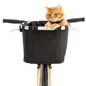 A cat inside the basket. Powercat