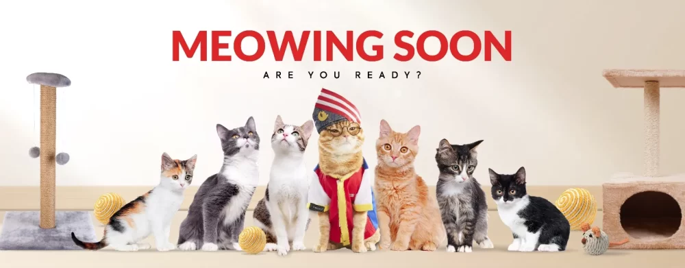 Powercar "Club" Page Banner