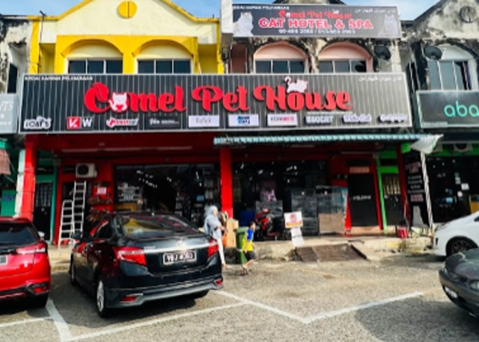 One of the stores that sells powercat cat food name : Comel Pet House