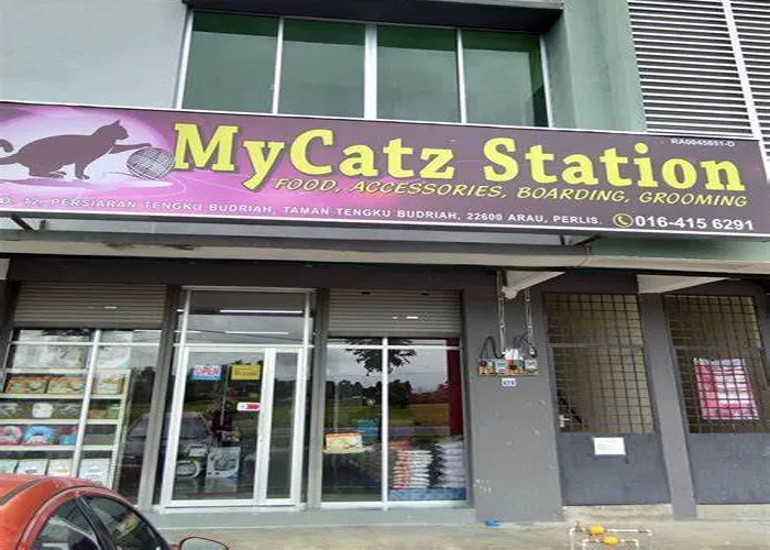 One of the stores that sells powercat cat food name : MyCatz Station.
