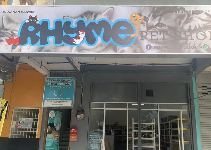One of the stores that sells powercat cat food name : Rhyme Pet Shop.