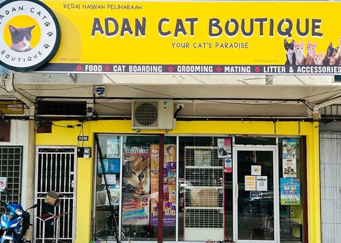 One of the stores that sells powercat cat food name : Adan Car Boutique