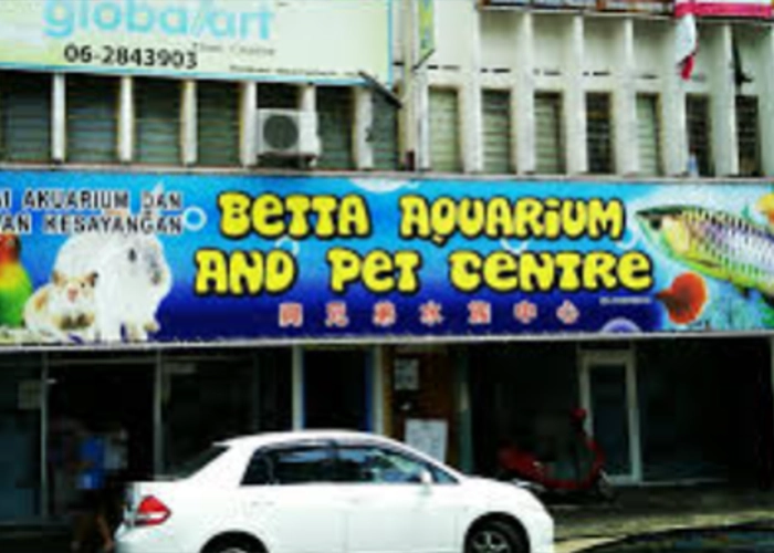 One of the stores that sells powercat cat food name : Betta Aquarium & Pet Centre