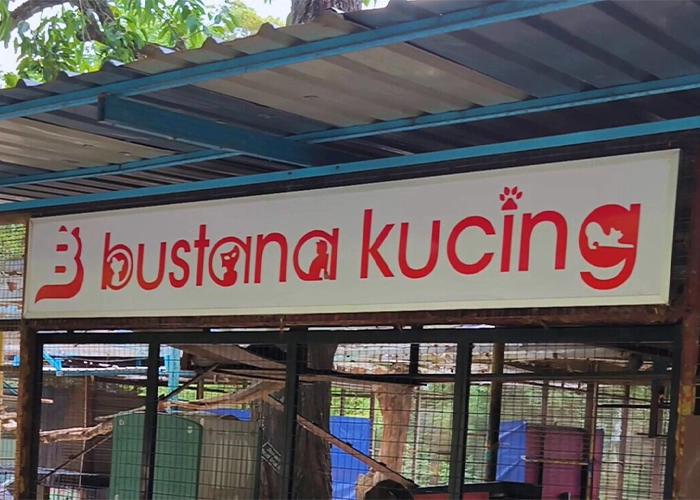 Bustana Kucing