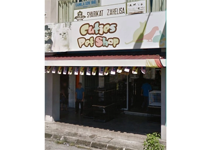 One of the stores that sells powercat cat food name : Cuties pet shop