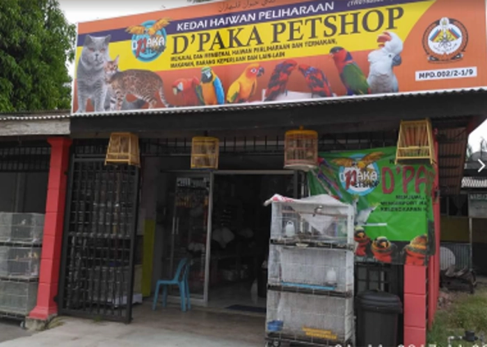 One of the stores that sells powercat cat food name : D'Paka Petshop