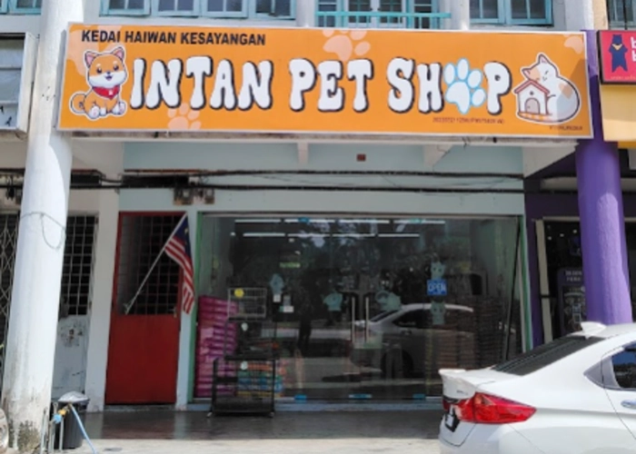 One of the stores that sells powercat cat food name : Intan Pet Shop