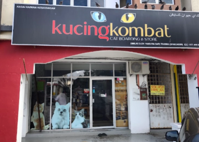 One of the stores that sells powercat cat food name : Kucing Kombat Cat Boarding & Store