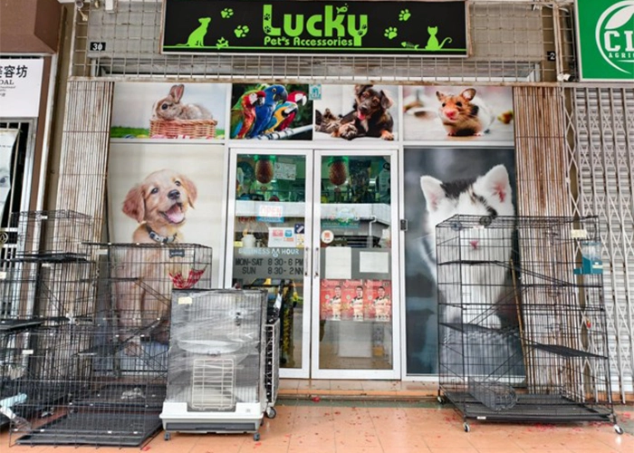 One of the stores that sells powercat cat food name : lucky pet's accessories