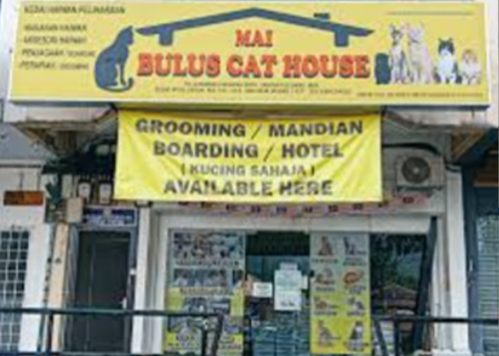 One of the stores that sells powercat cat food name : Mai bulus cat house