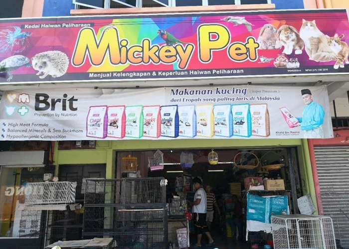 One of the stores that sells powercat cat food name : Mickey Pet