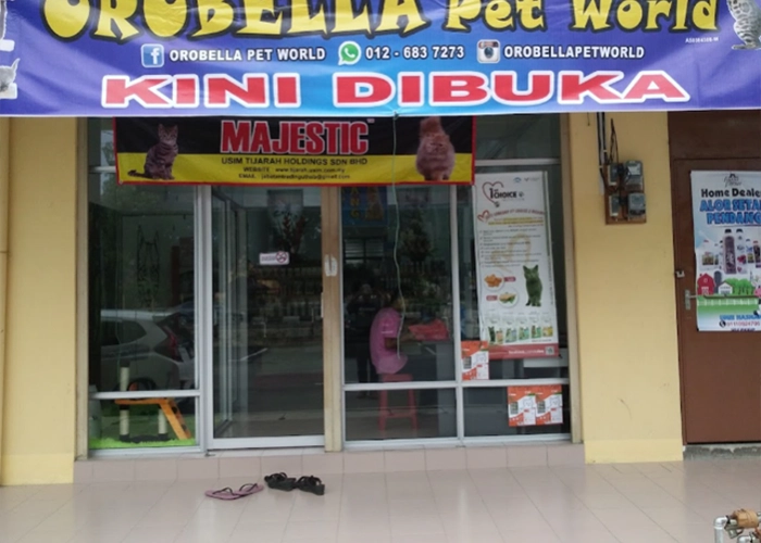 One of the stores that sells powercat cat food name : Orobella Pet World
