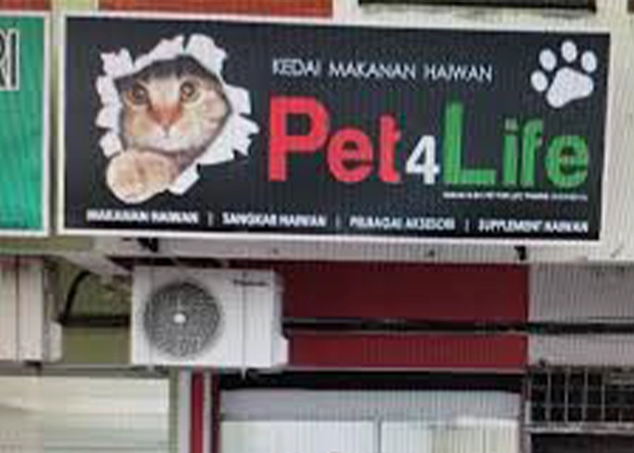 One of the stores that sells powercat cat food name : Pet For Life Trading