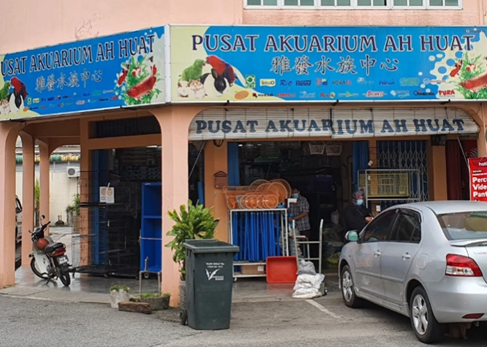 One of the stores that sells powercat cat food name : Pusat Akuarium Ah Huat