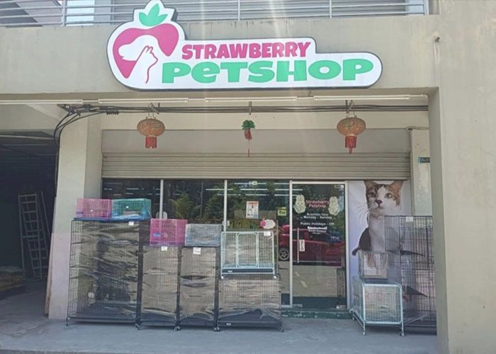 One of the stores that sells powercat cat food name : strawberry petshop
