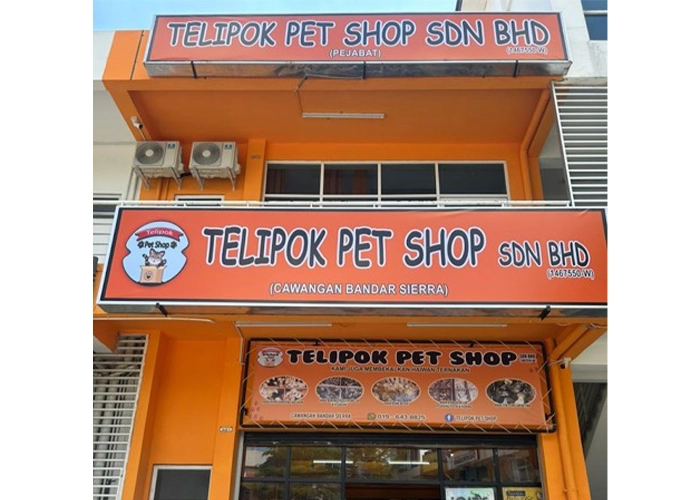 One of the stores that sells powercat cat food name : telipok pet shop