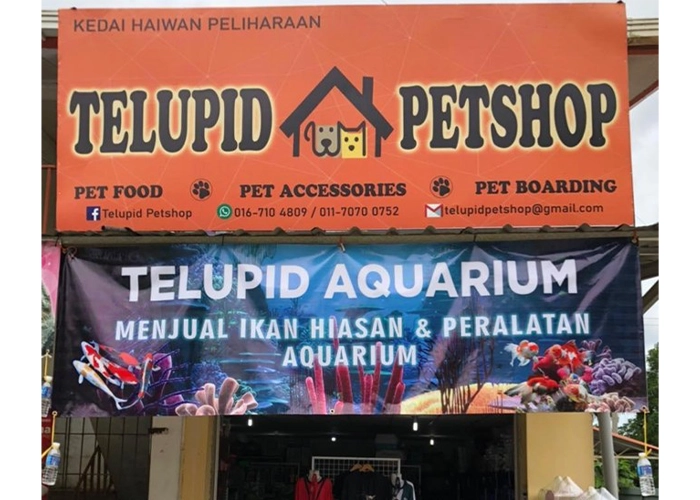 One of the stores that sells powercat cat food name : telupid pet shop