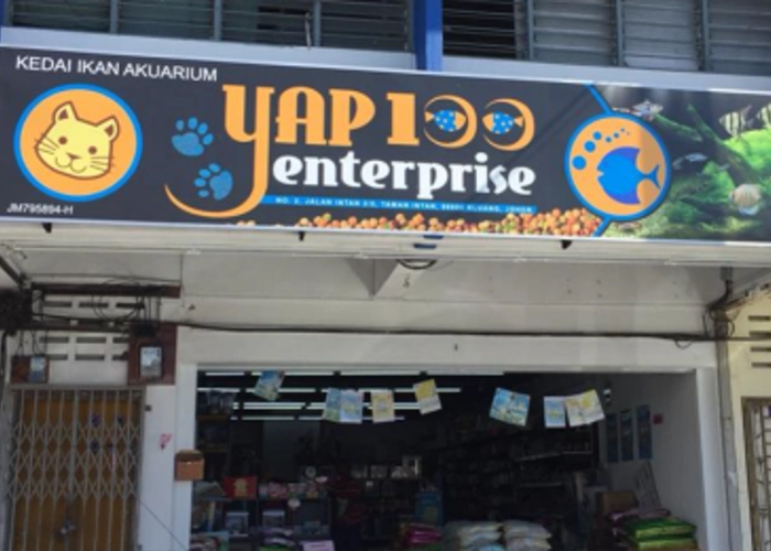 One of the stores that sells powercat cat food name : Yap 100 Enterprise