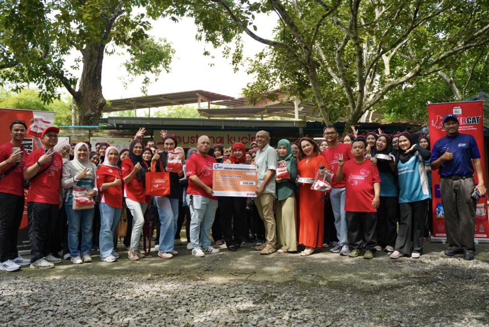 Purr-fect Care Si Comot by Powercat @ Bustana Kucing